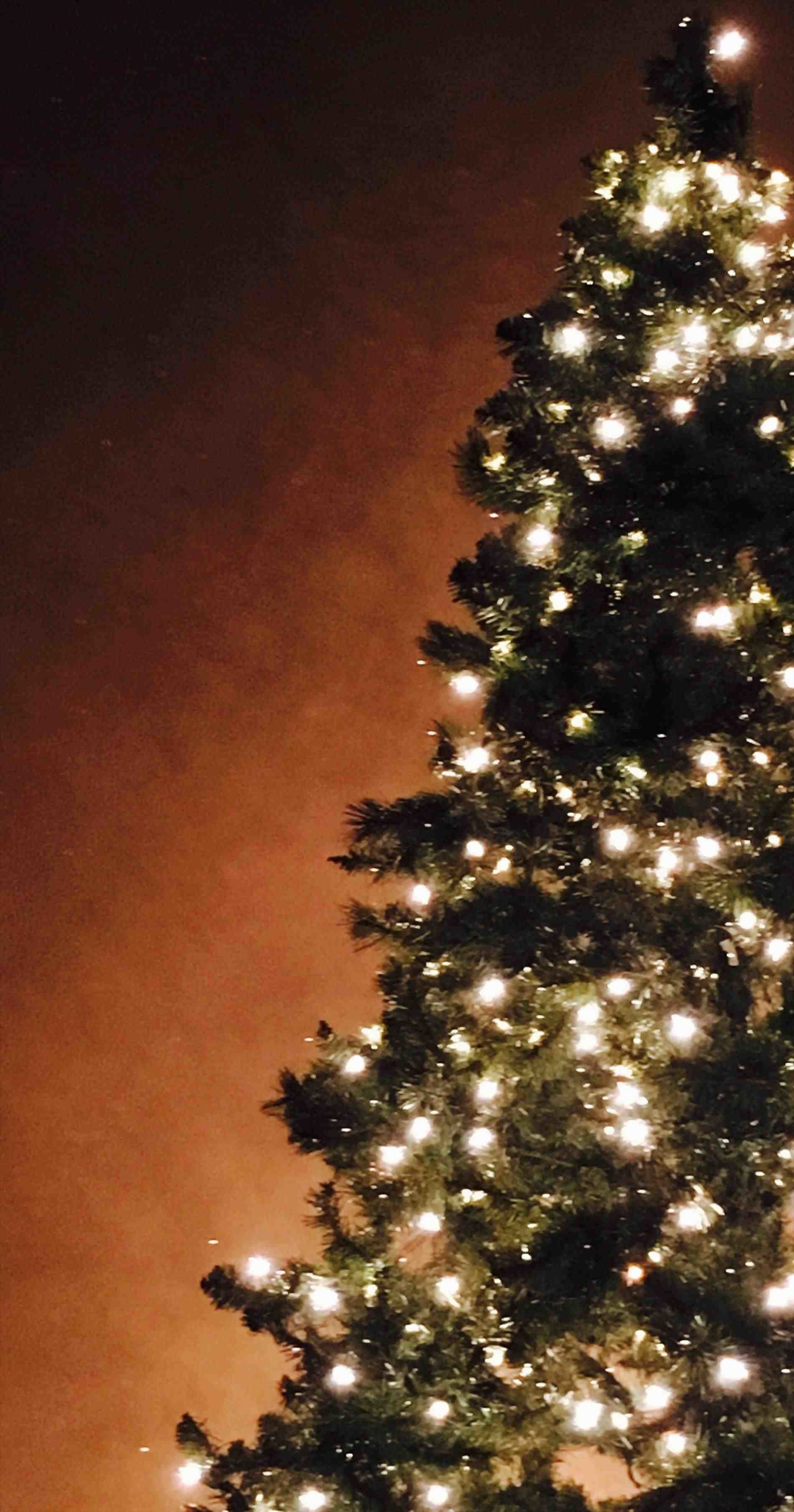 Albero di Natale con luci, 1900x3618 Verticale, Telefono