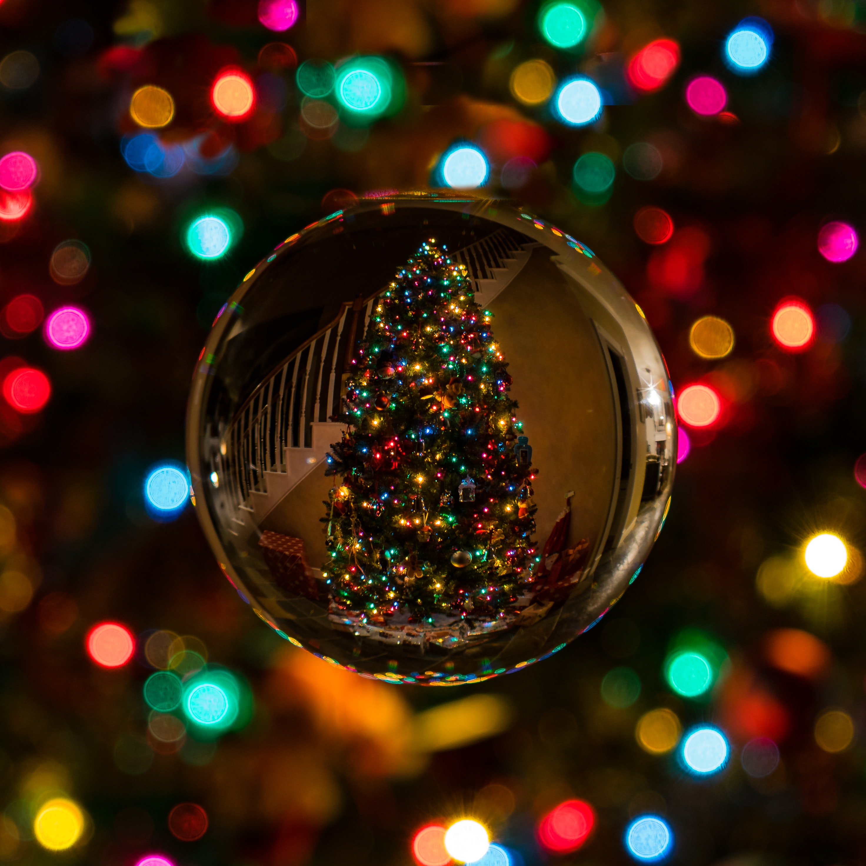 Sfera di vetro riflette albero di Natale, 2944x2944 WQXGA, Desktop