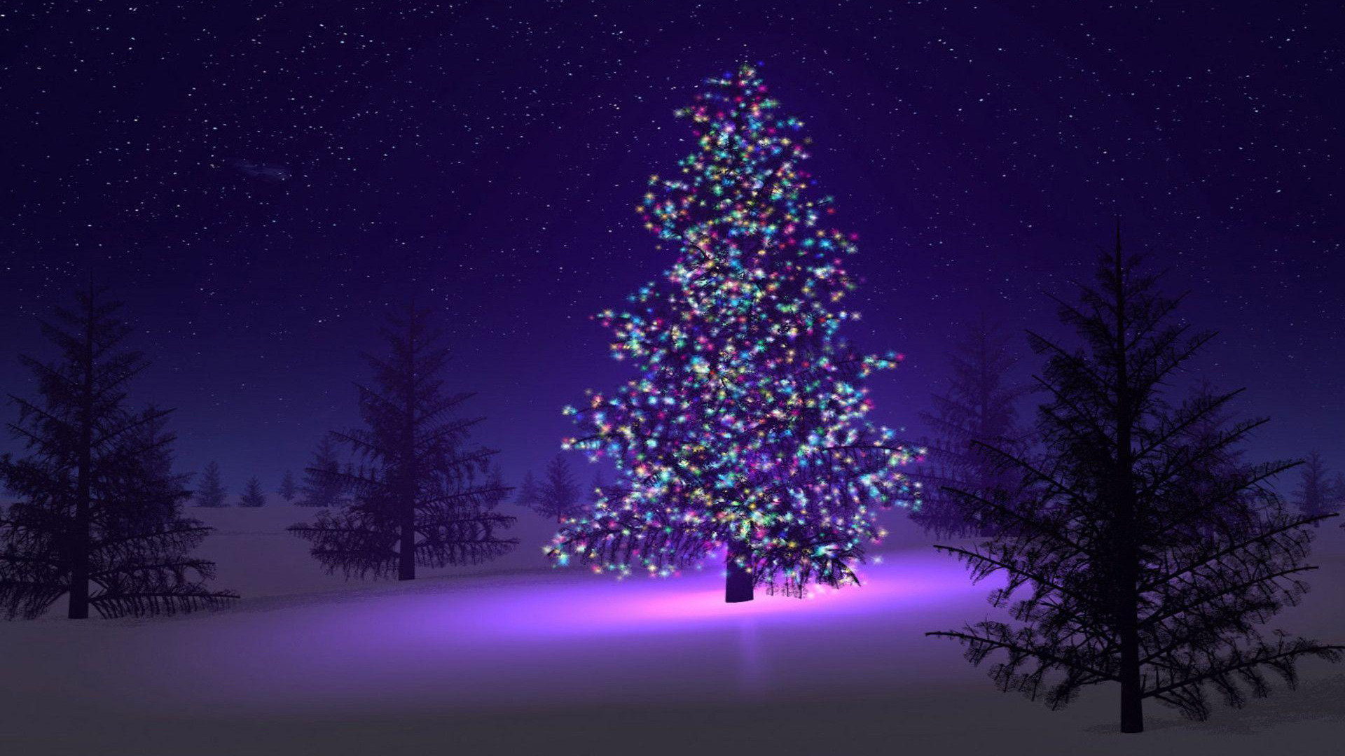 Albero di Natale illuminato nella neve, 1920x1080 Full HD, PC Desktop