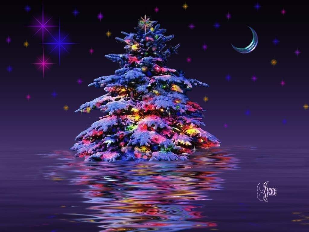 Albero di Natale luci notte, 1024x768 HD, PC Desktop