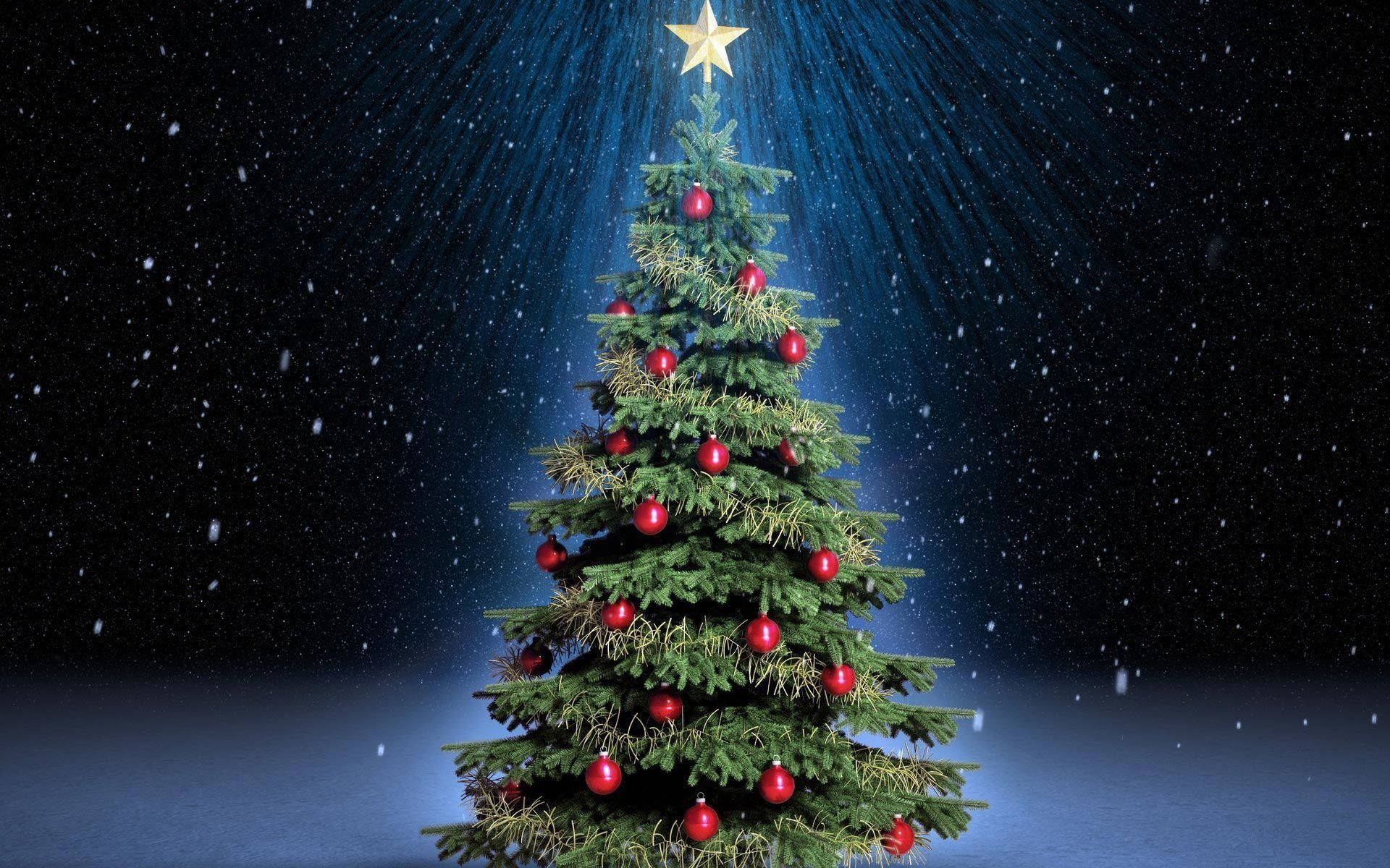 Albero di Natale illuminato notte, 1920x1200 Full HD+ WUXGA, PC Desktop