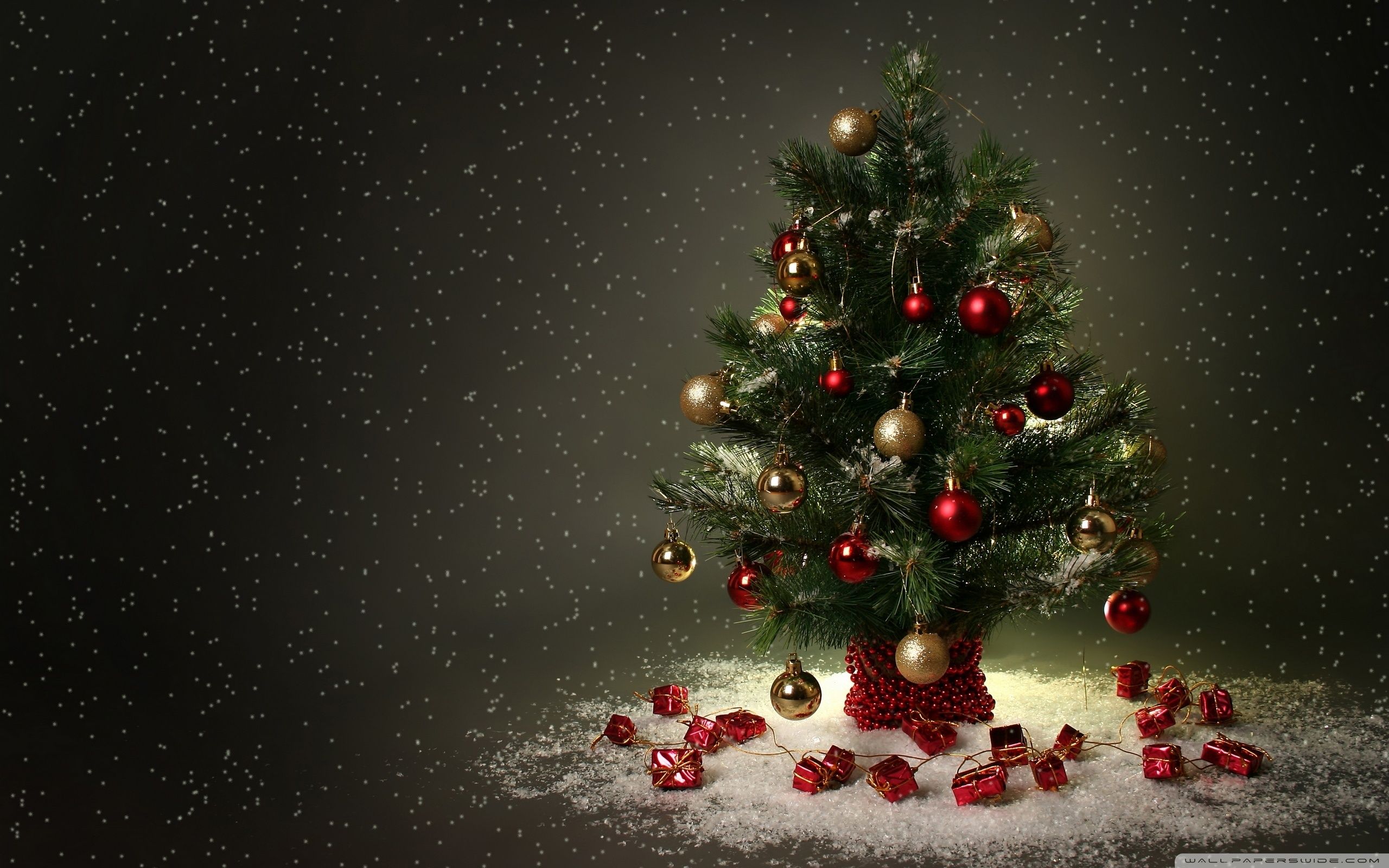Piccolo albero di Natale decorato, 2560x1600 2K+, Laptop