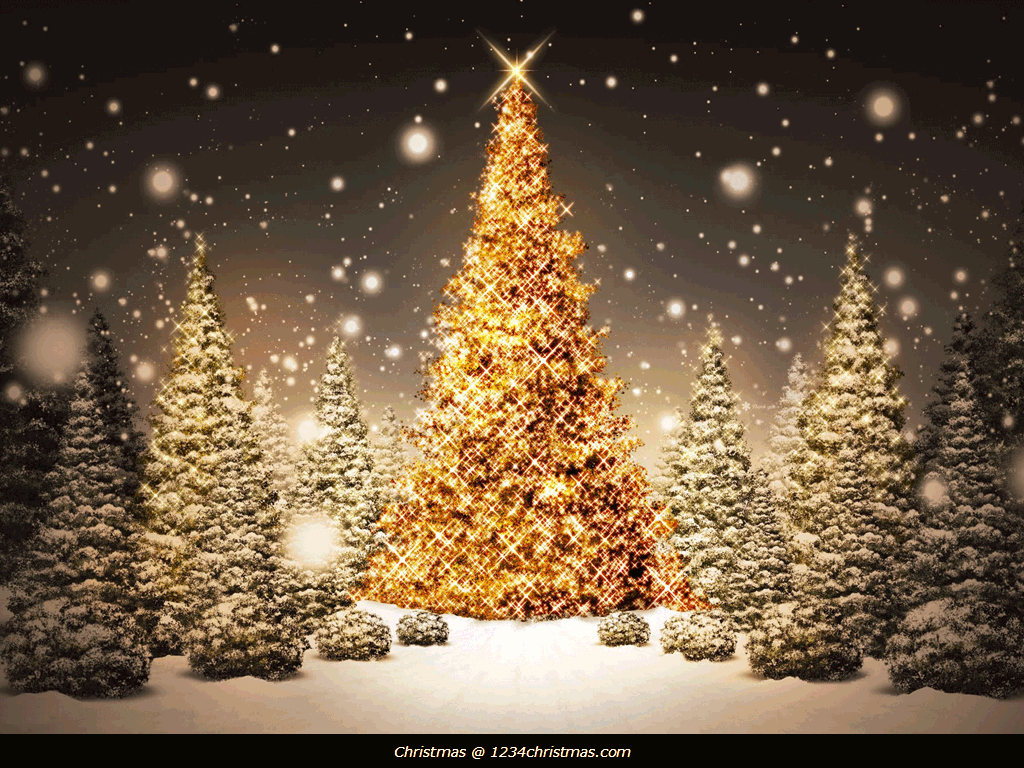 Albero di Natale luminoso dorato, 1024x768 HD, Desktop