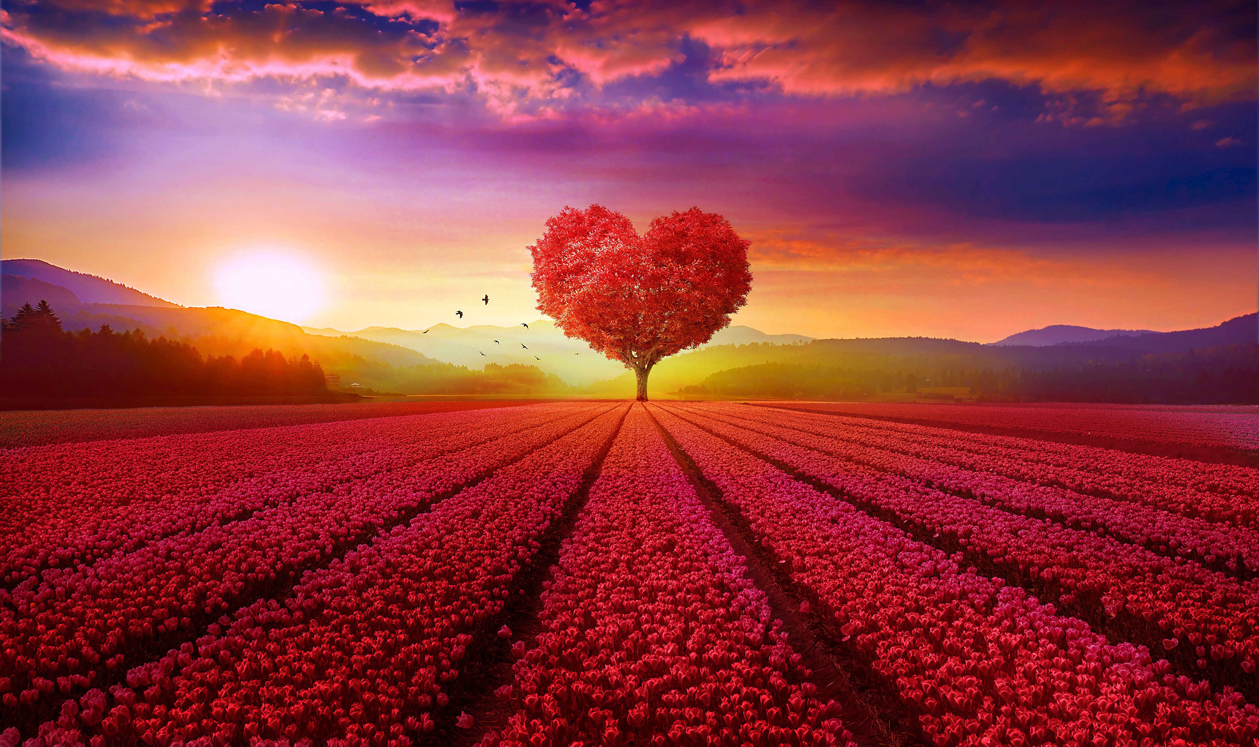 Albero a forma di cuore rosso, 4300x2550 UHD, PC 4K