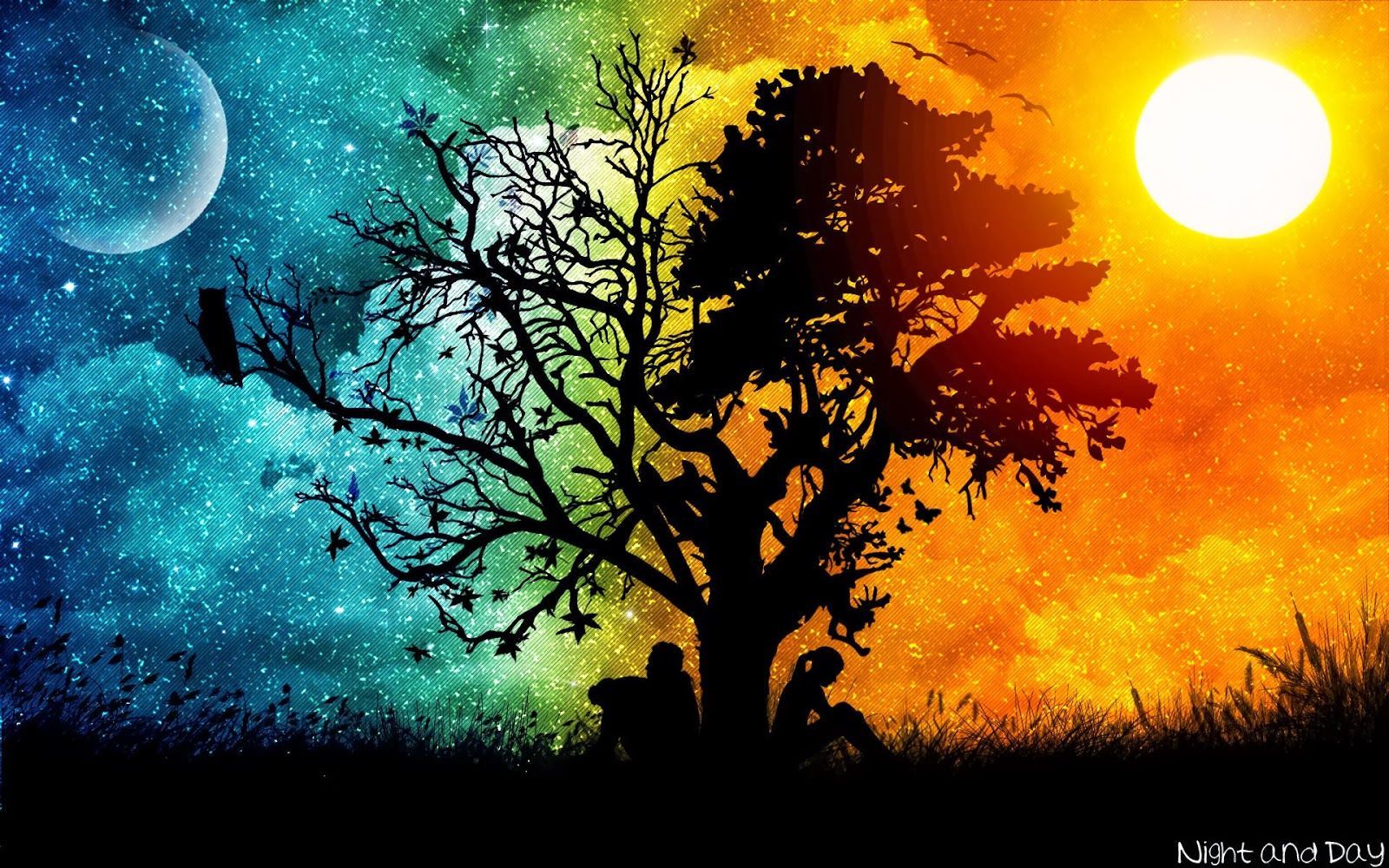 Albero silhouette giorno e notte, 1600x1000 HD Ready, Desktop
