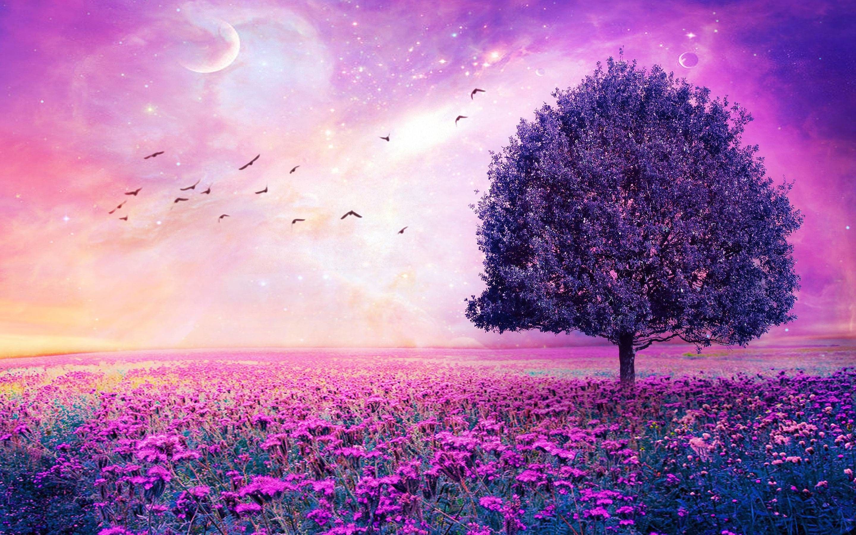 Albero viola con fiori fantasy, 2880x1800 2K, Desktop