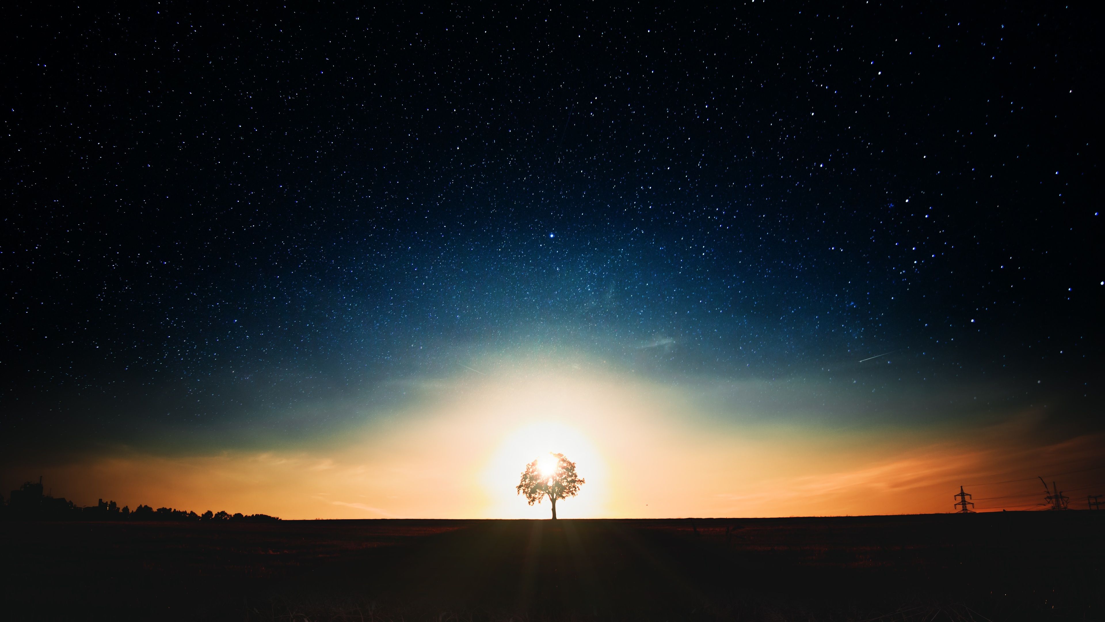 Albero solitario notte stellata, 3840x2160 4K Ultra HD, Monitor 4K