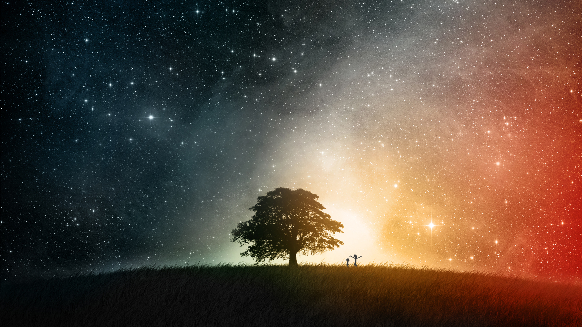 Albero silhouette sotto galassia stellata, 1920x1080 Full HD 1080p, PC
