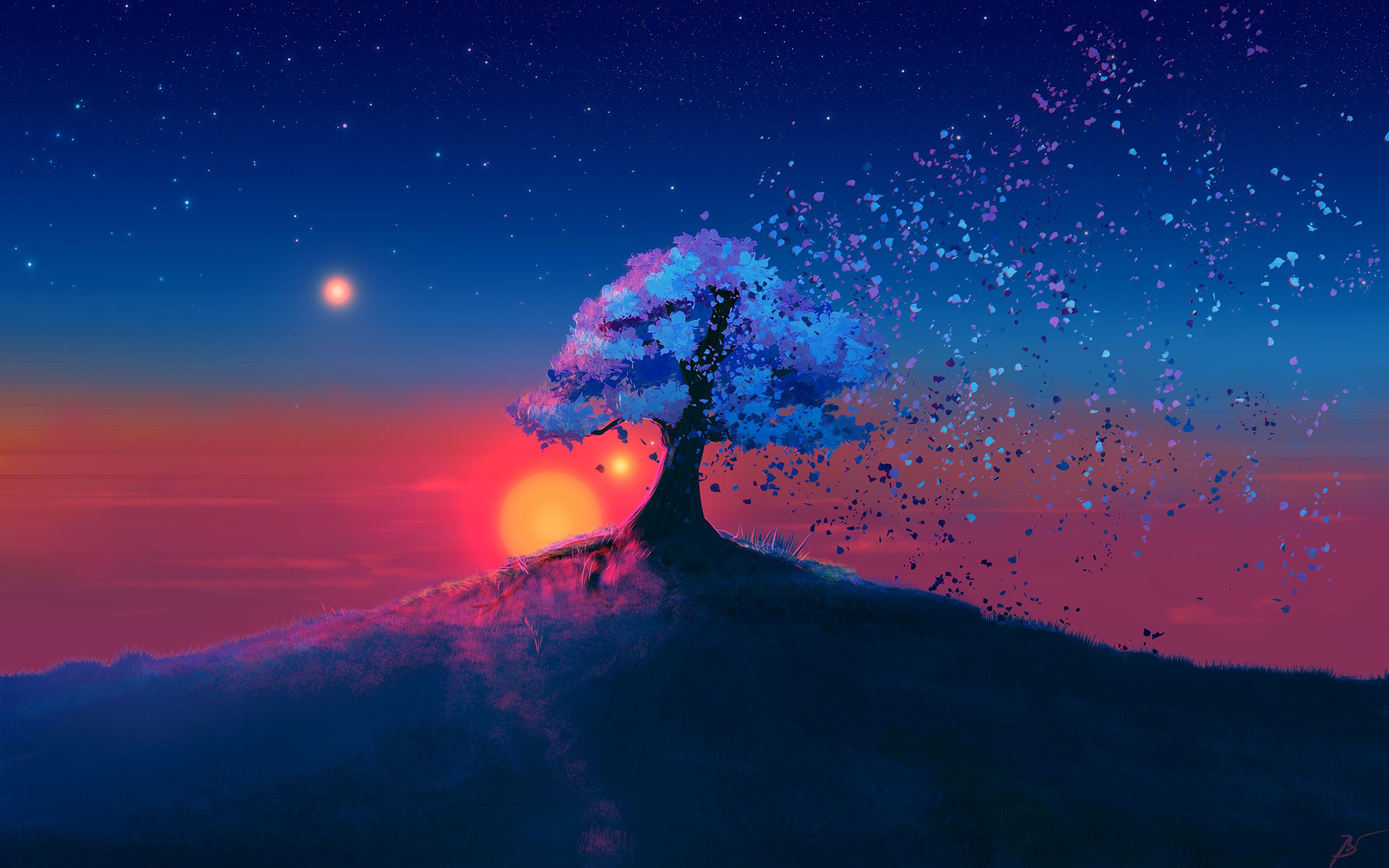 Albero solitario al tramonto, 2560x1600 WQXGA, Desktop