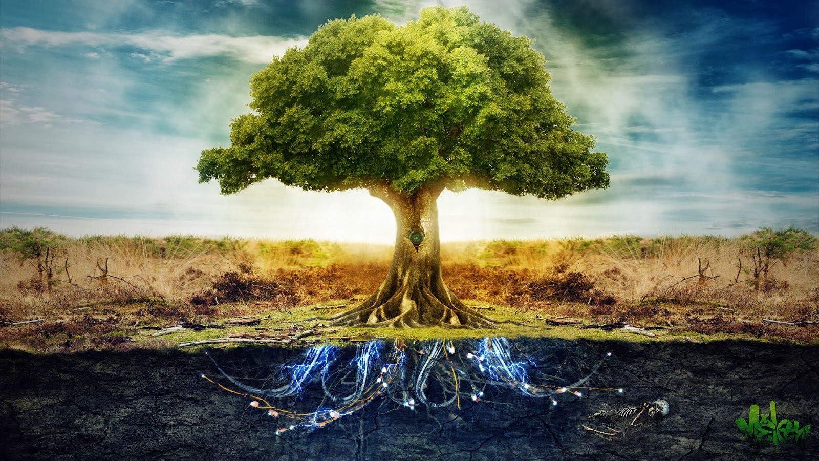 Albero con radici illuminate blu, 1600x900 HD Ready, PC Desktop