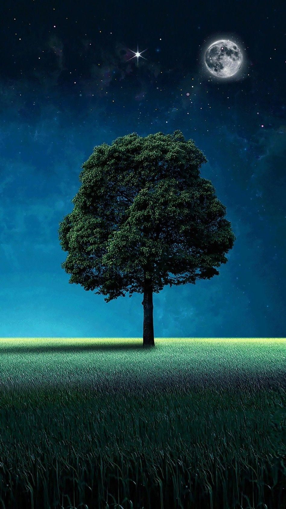 Albero solitario notte luna, 949x1688 Verticale, Xiaomi