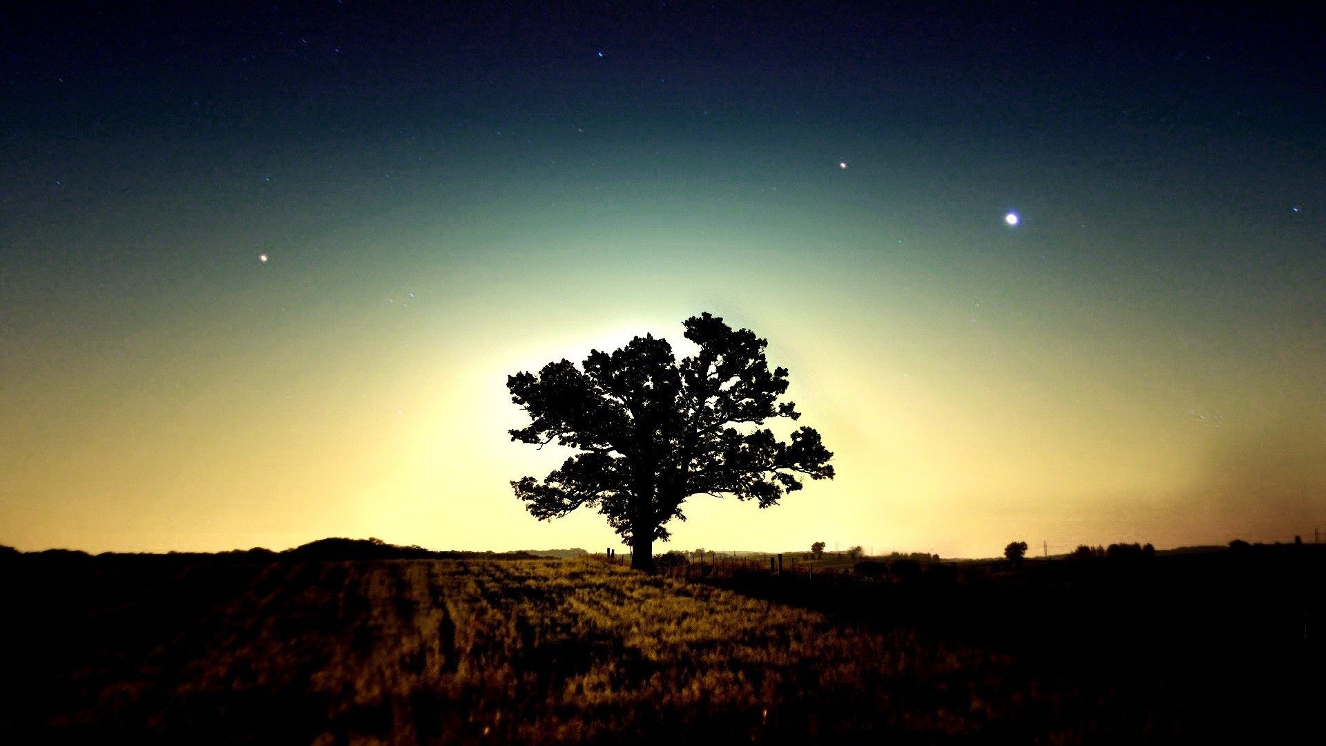 Albero solitario al crepuscolo, 1920x1080 Full HD 1080p, Laptop