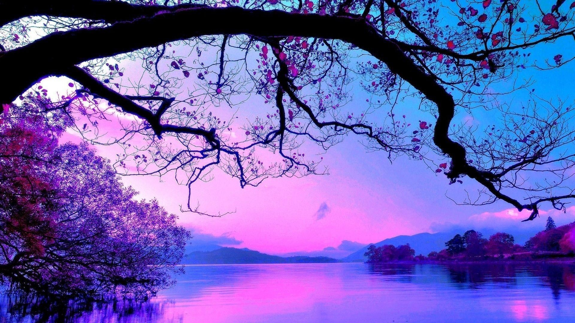 Albero viola lago crepuscolo, 1920x1080 Full HD, Desktop