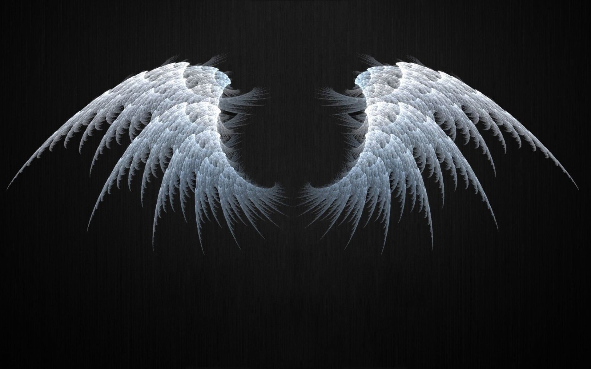 Ali d'angelo bianche sfondo nero, 1920x1200 WUXGA, Laptop