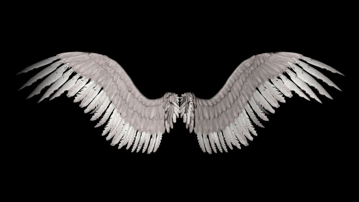 Ali d'angelo bianche su nero, 1191x670 HD, iMac