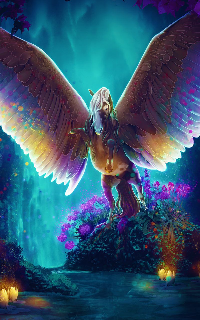 Pegaso fantasy ali colorate, 800x1280 Full HD Verticale, Smartphone