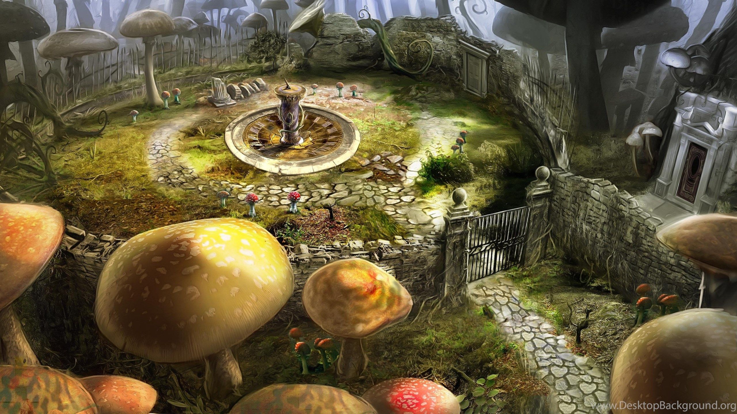 radura funghi bosco fantasy magico, 2560x1440 QHD, Laptop