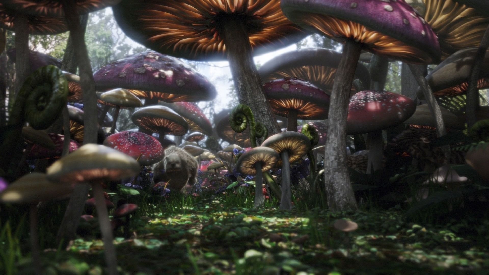 funghi giganti foresta film Burton, 1920x1080 Full HD 1080p, Desktop