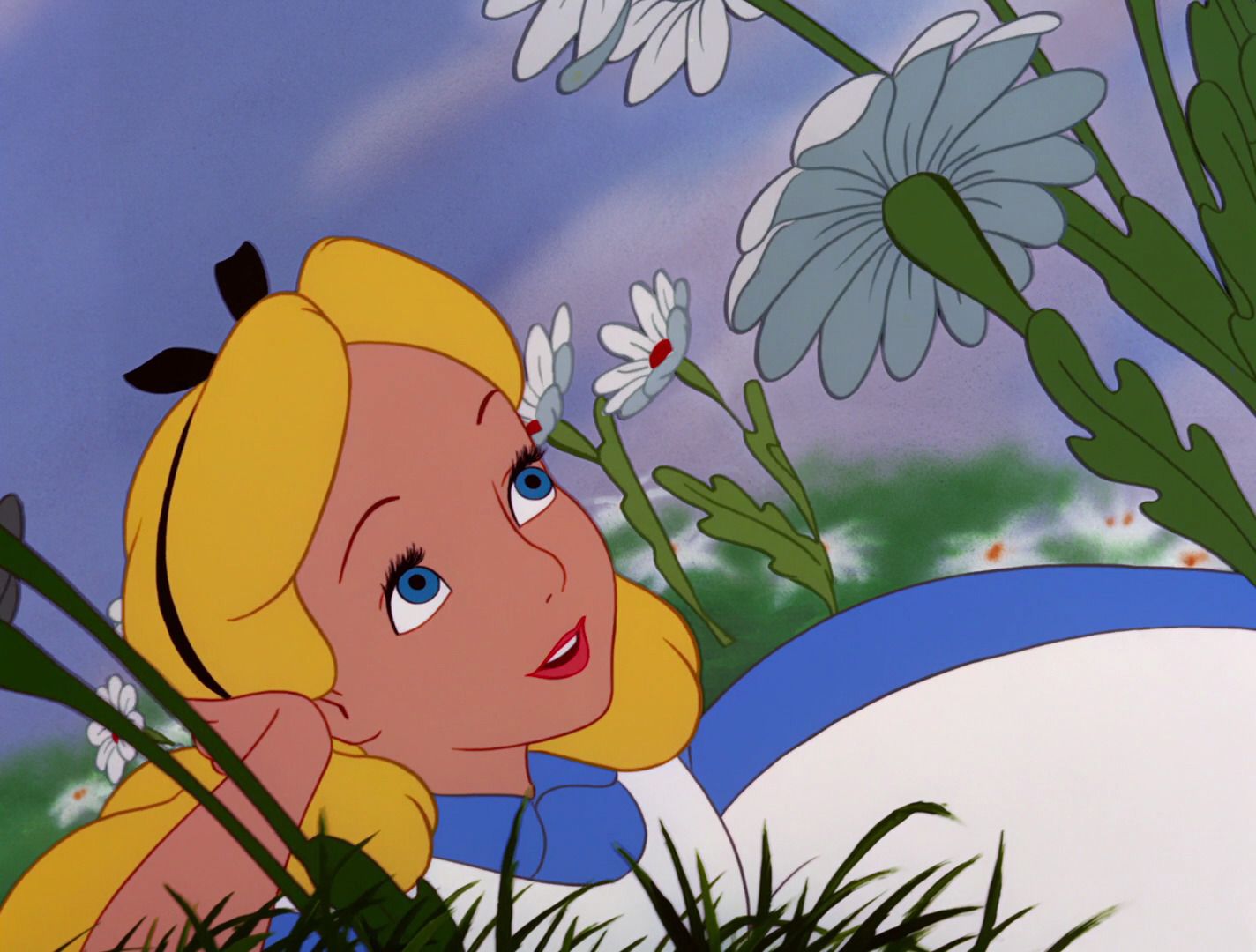 Alice bionda prato margherite Disney, classici d'animazione, 1424x1080 720p, Laptop
