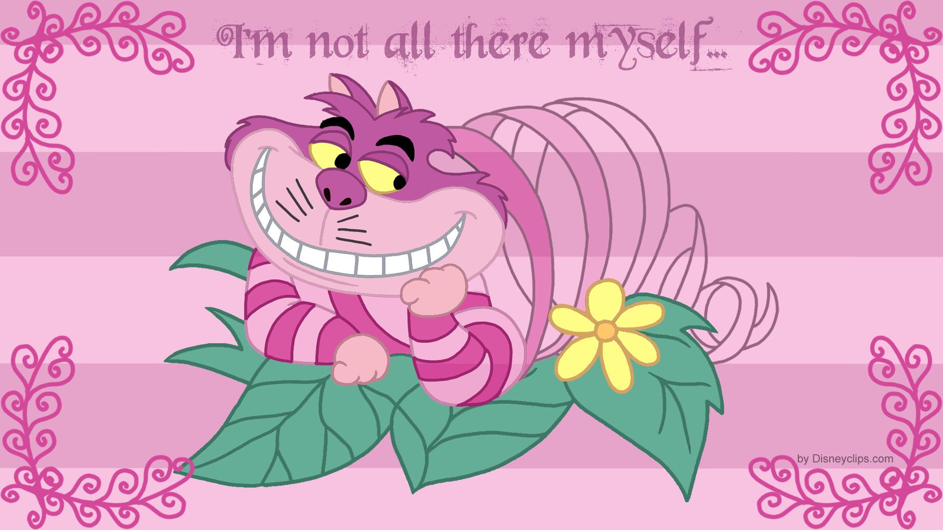 Stregatto rosa foglia citazione Disney, 1840x1035 900p, Laptop