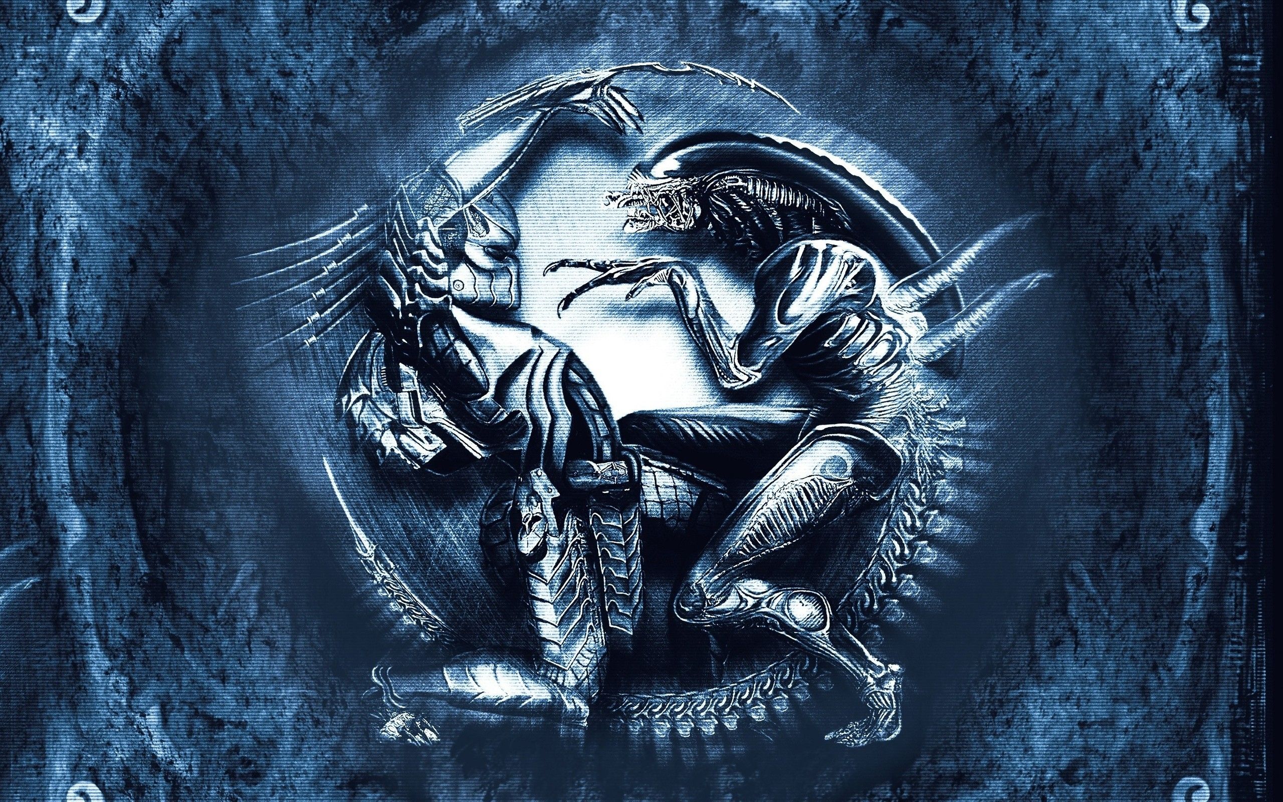 Alien contro Predator combattimento, 2560x1600 2K+, MacBook Pro