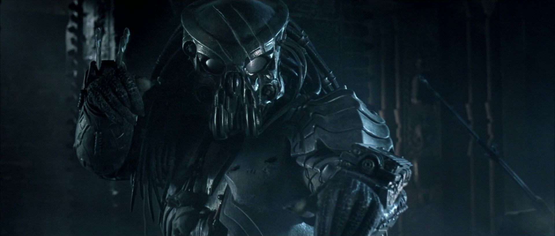 Predator Celtico oscuro, 1920x818 Panoramico, Dual Screen