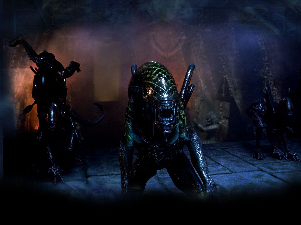 Predator e Alien facce, 1024x768 HD, Desktop