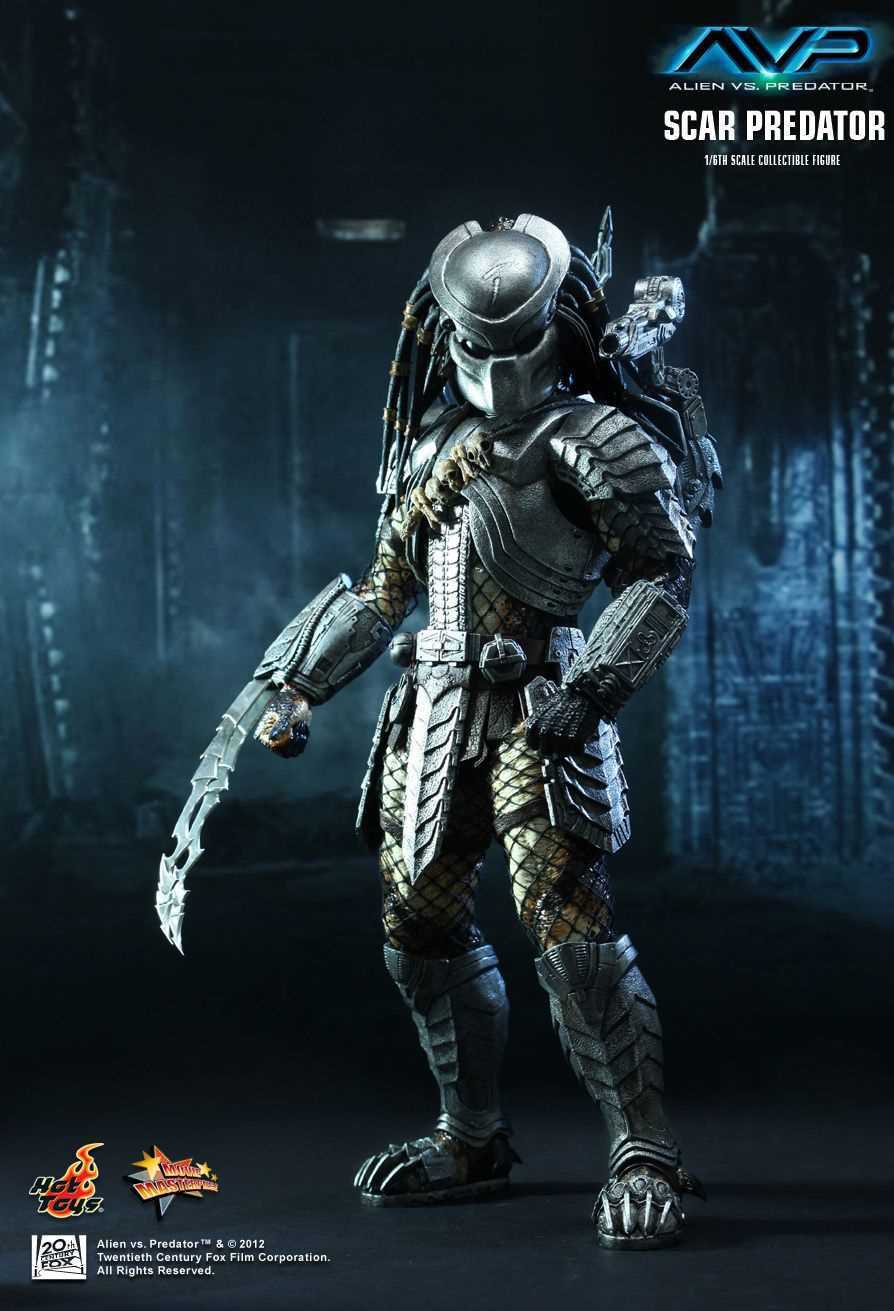 Celtic Predator con arma, 1920x1080 Full HD, PC