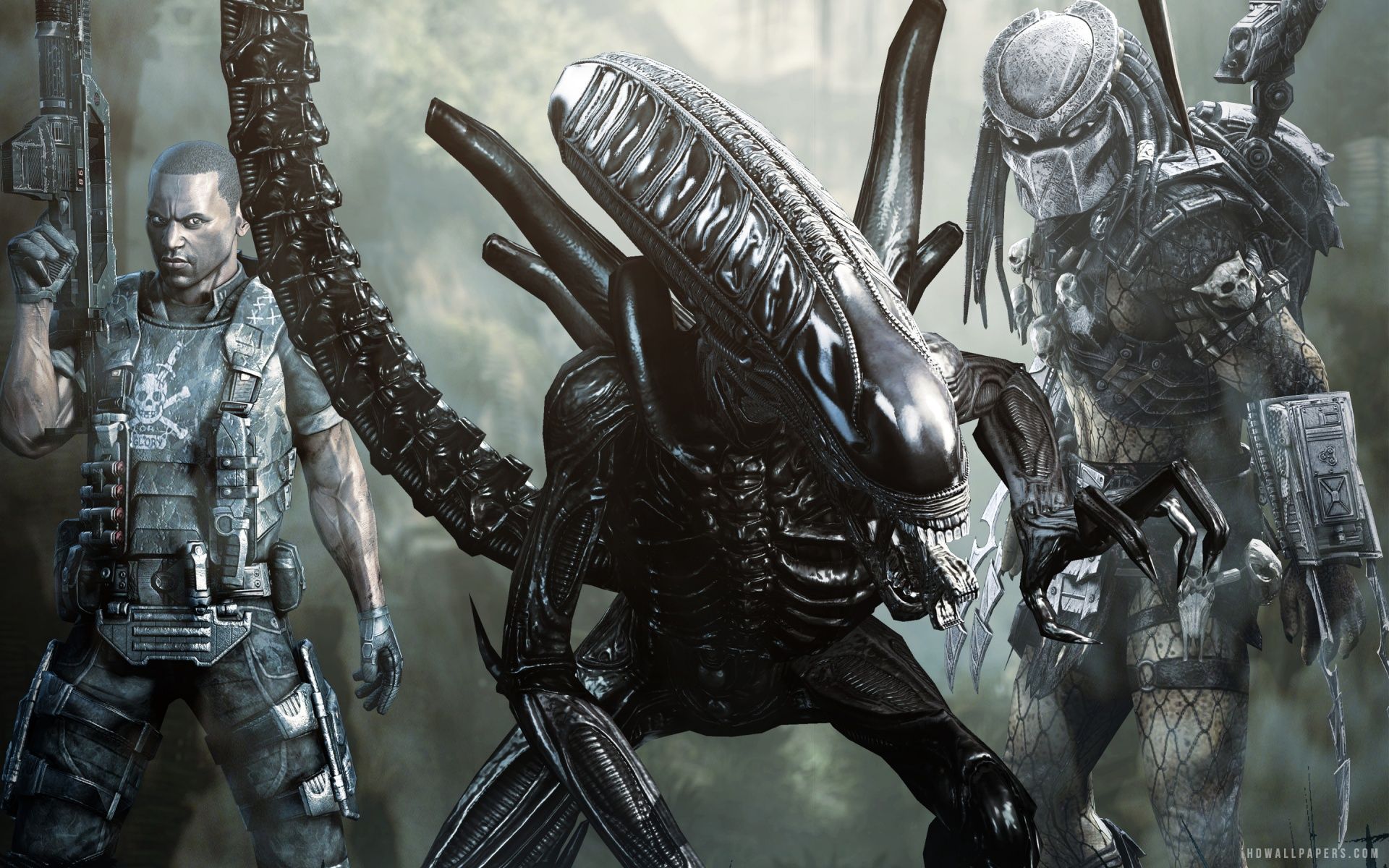 Alien, soldato e Predator, 1920x1200 WUXGA, Desktop