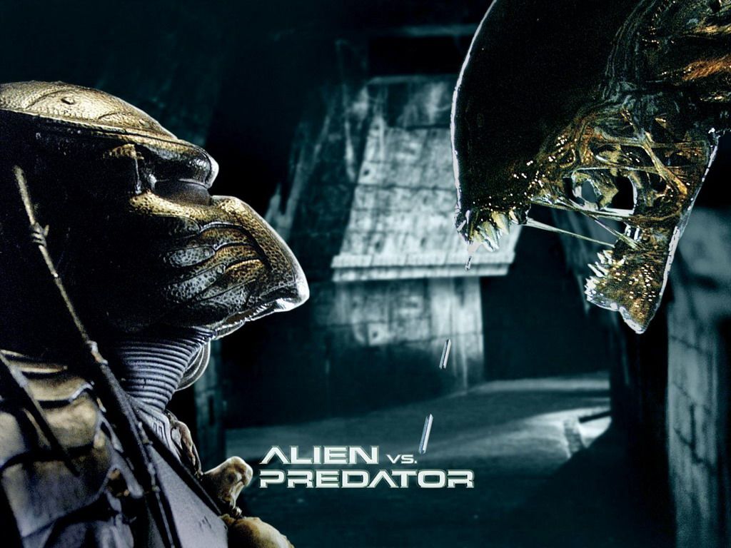Alien vs Predator confronto, 1024x768 HD, Desktop