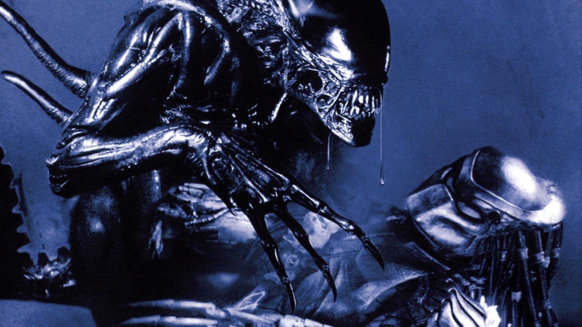 Alien vs Predator combattimento, 1920x1080 Full HD 1080p, PC