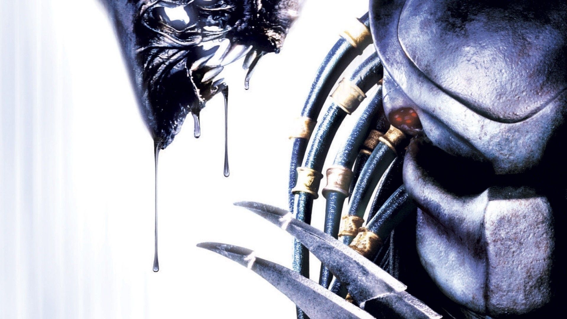 Alien vs Predator teste, 1920x1080 1080p, PC Desktop