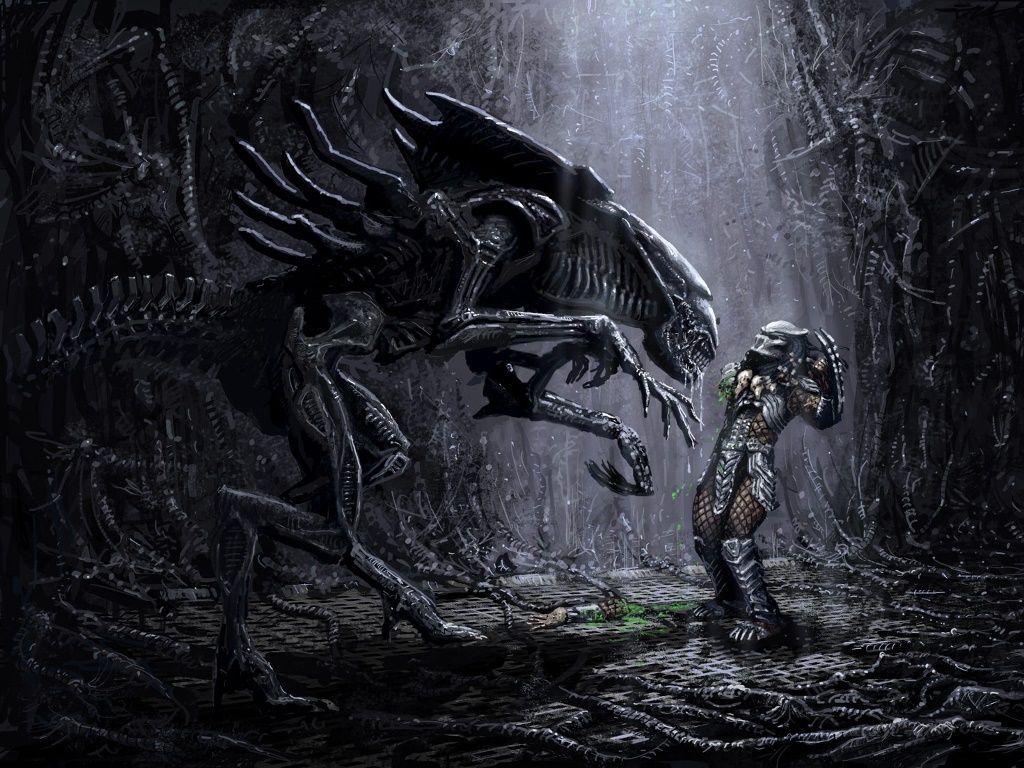 Alien Queen contro Predator, 1024x768 HD, PC