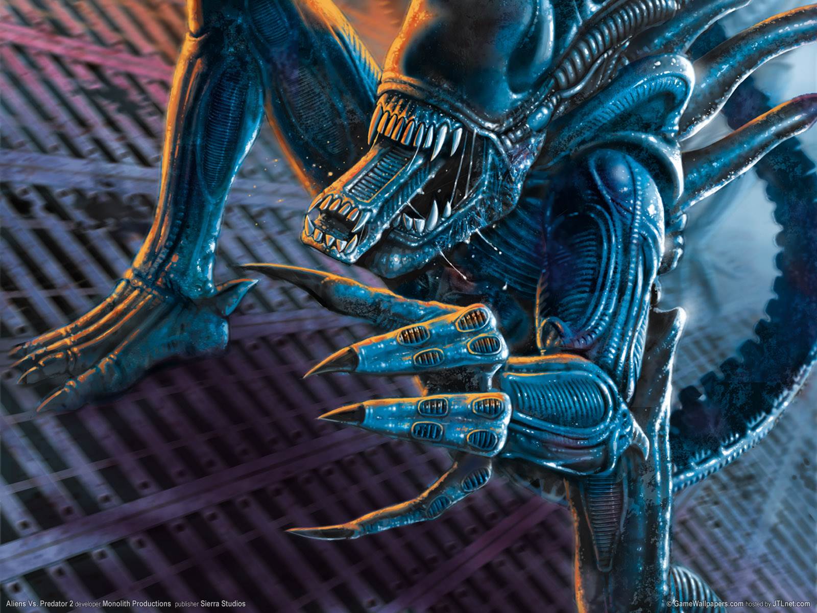 Alien Xenomorph creatura blu, 1600x1200 900p, PC