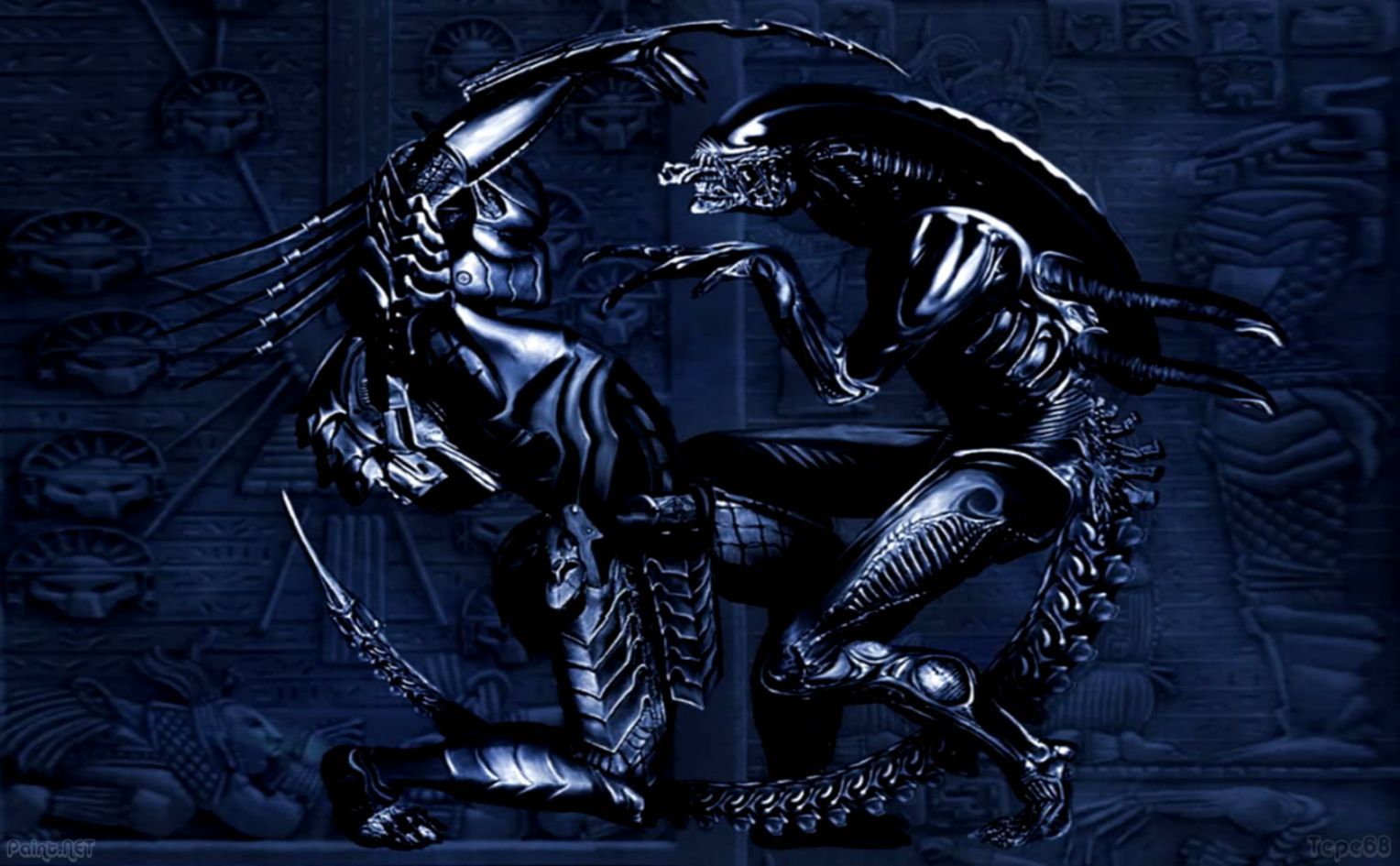 Alien vs Predator scontro, 1528x945 720p, Laptop