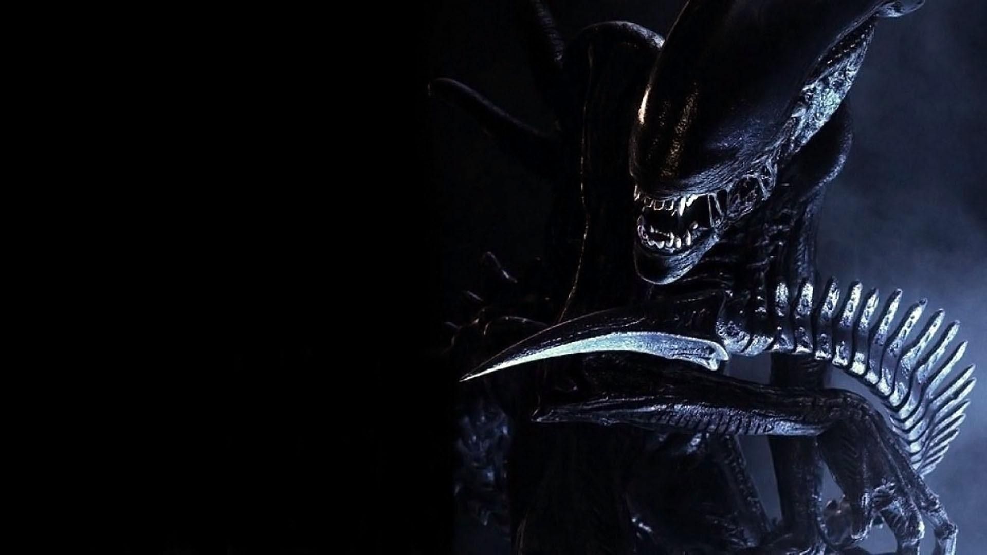 Alien xenomorfo testa scura, 1920x1080 Full HD 1080p, Desktop