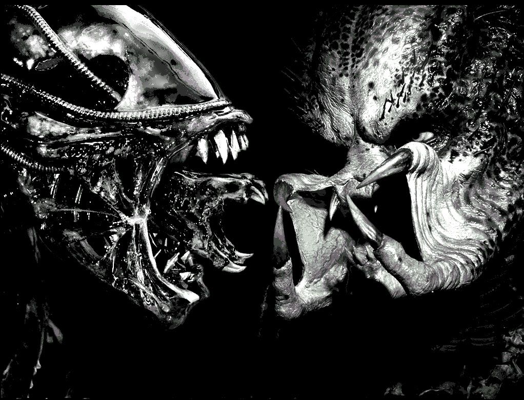 Alien contro Predator, teste, 1022x780 HD, iMac