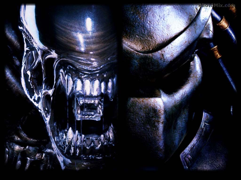 Alien e Predator teste affiancate, 1024x768 HD, Desktop