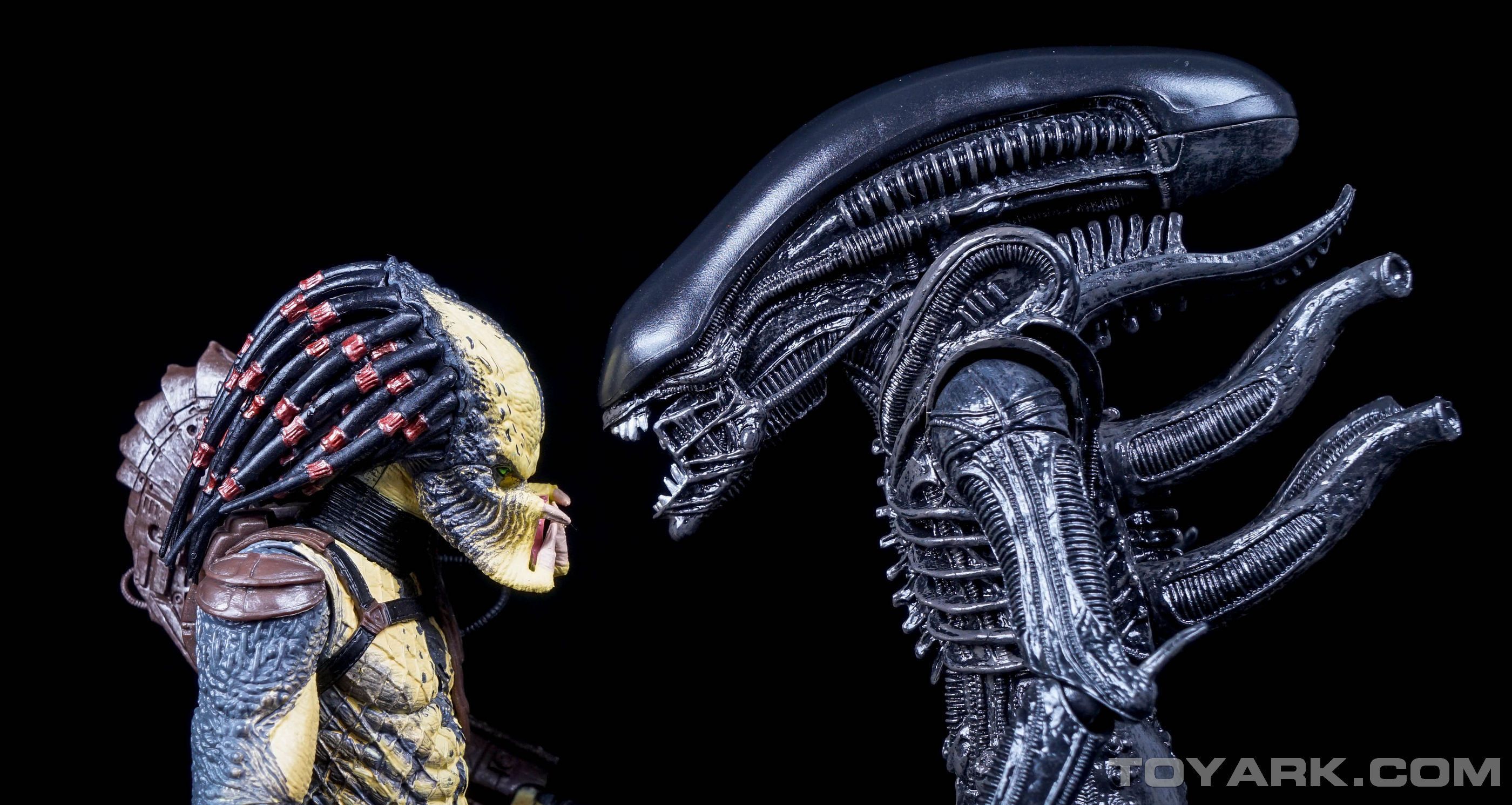 Alien contro Predator figure, 2800x1490 QHD, Monitor Gaming