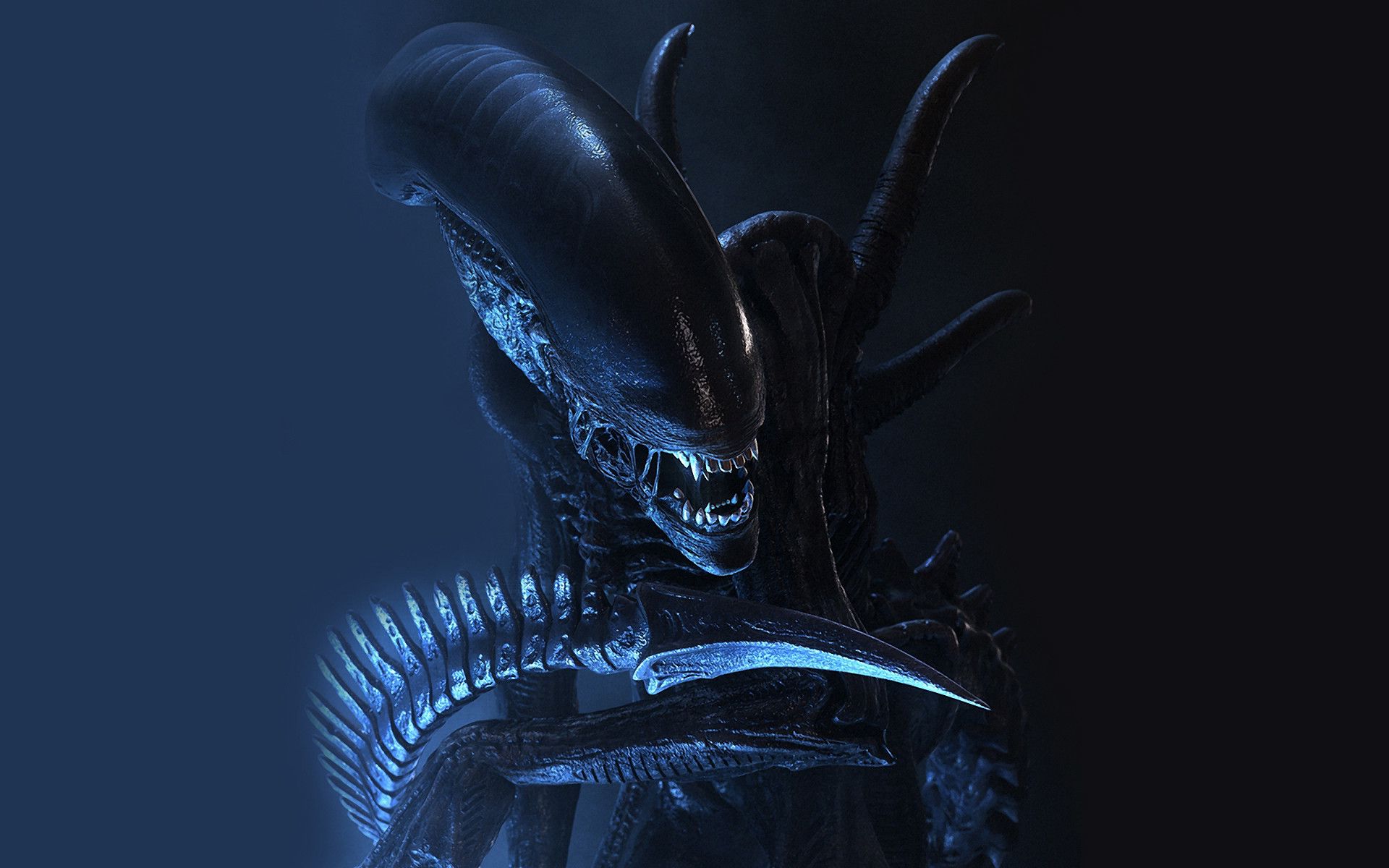 Alien xenomorfo testa scura, 1920x1200 Full HD+, Desktop