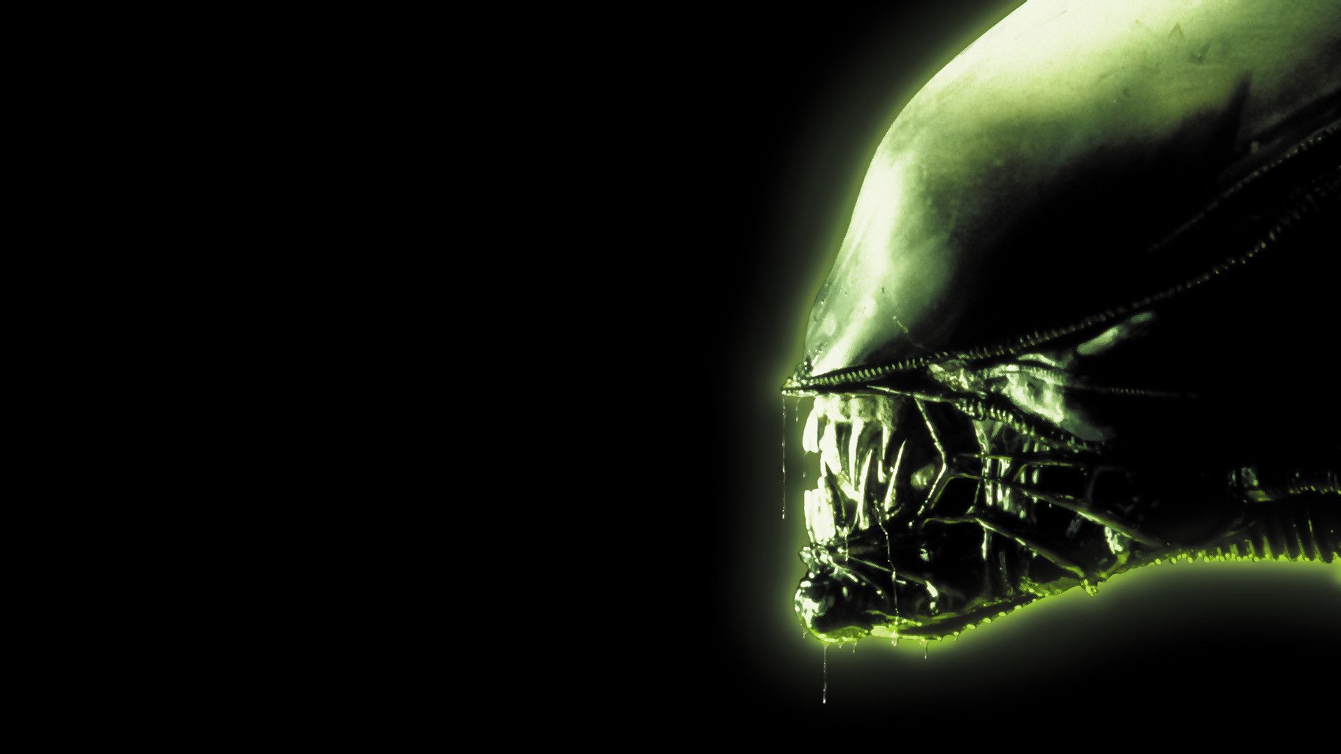 Xenomorfo alieno testa verde, 1920x1080 Full HD, Desktop