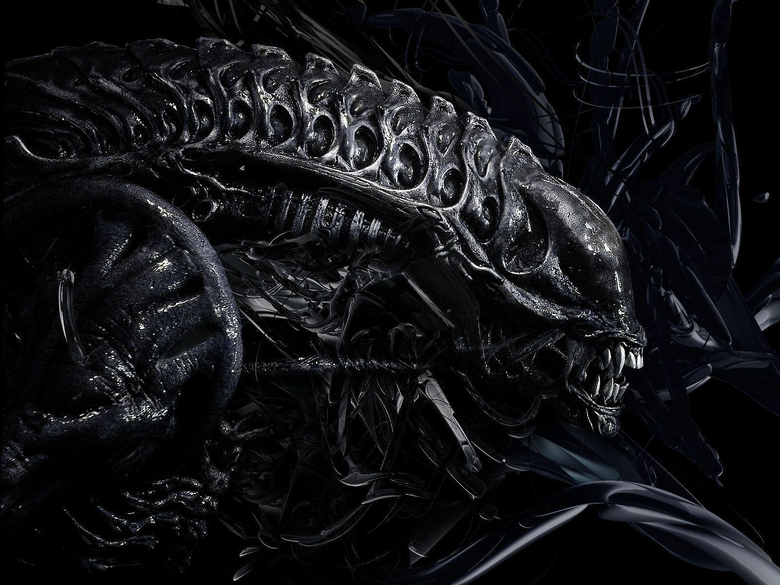 Xenomorfo alieno testa nera, 1600x1200 HD Ready, PC