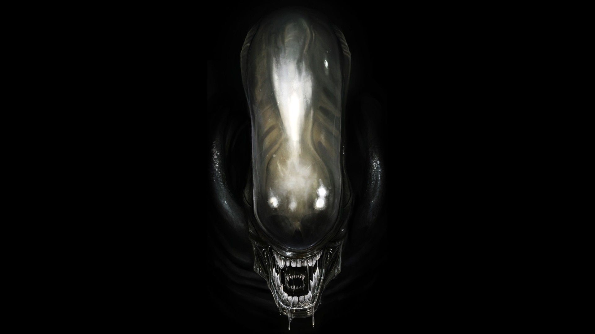 Testa Alien Xenomorfo scura, 1920x1080 1080p, PC Desktop