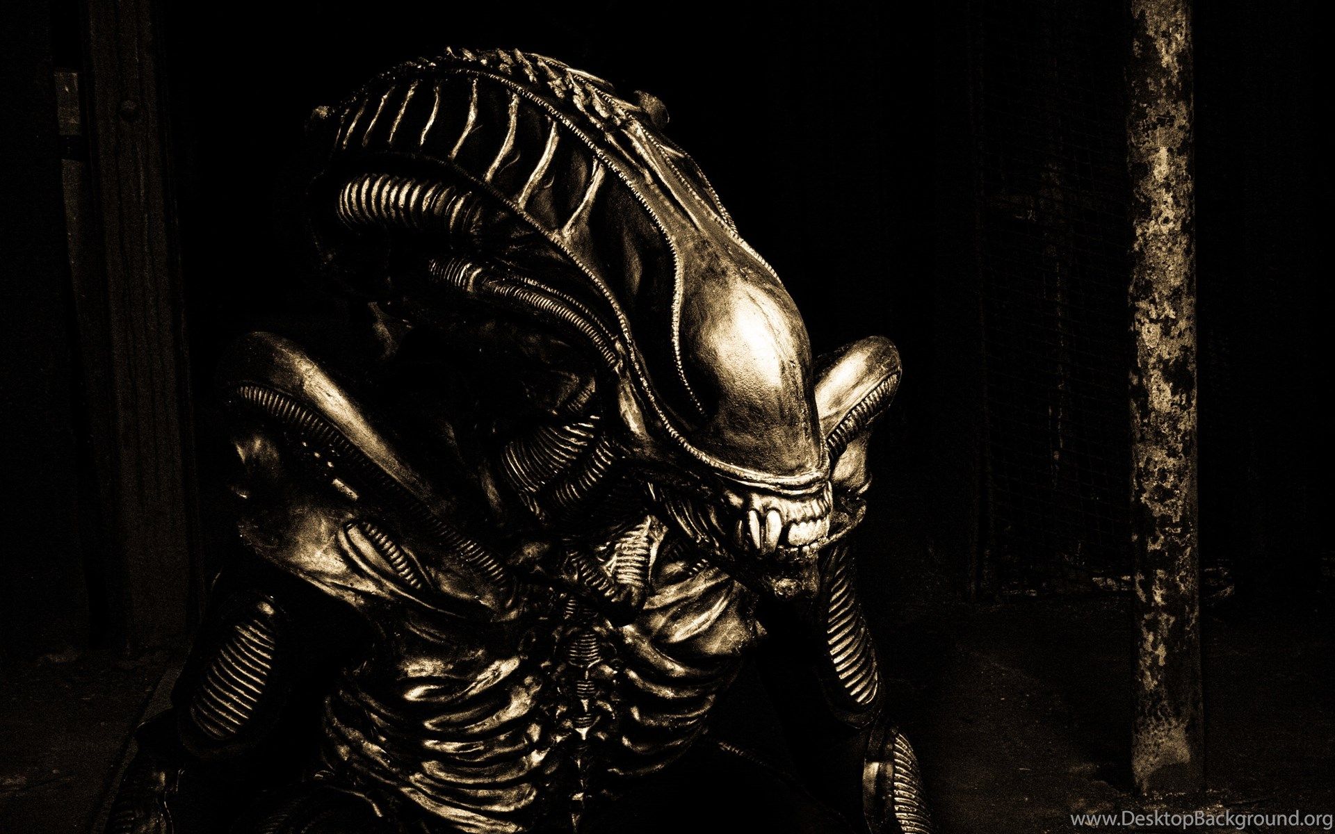 Alieno Xenomorfo scuro, 1920x1200 WUXGA, iMac