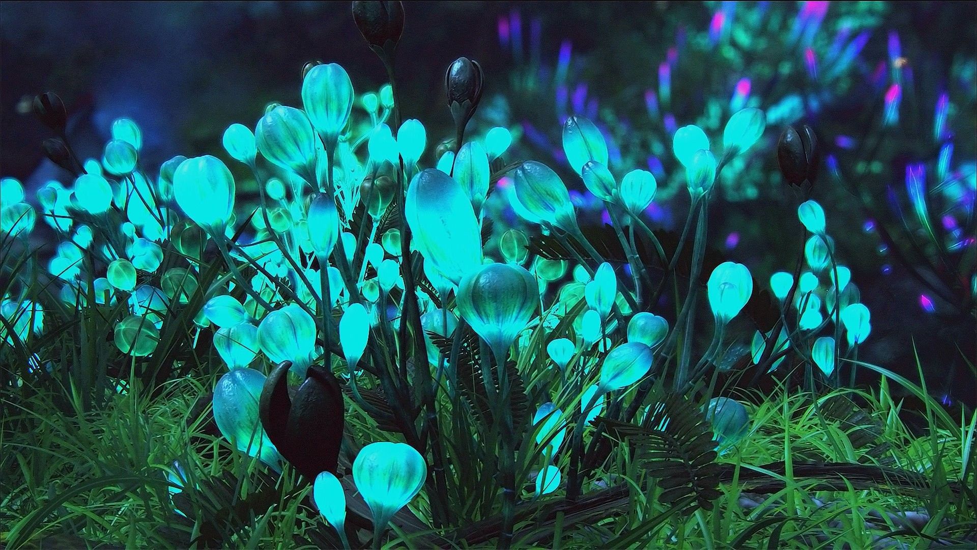 Piante bioluminescenti blu aliene, 1920x1080 Full HD, Laptop