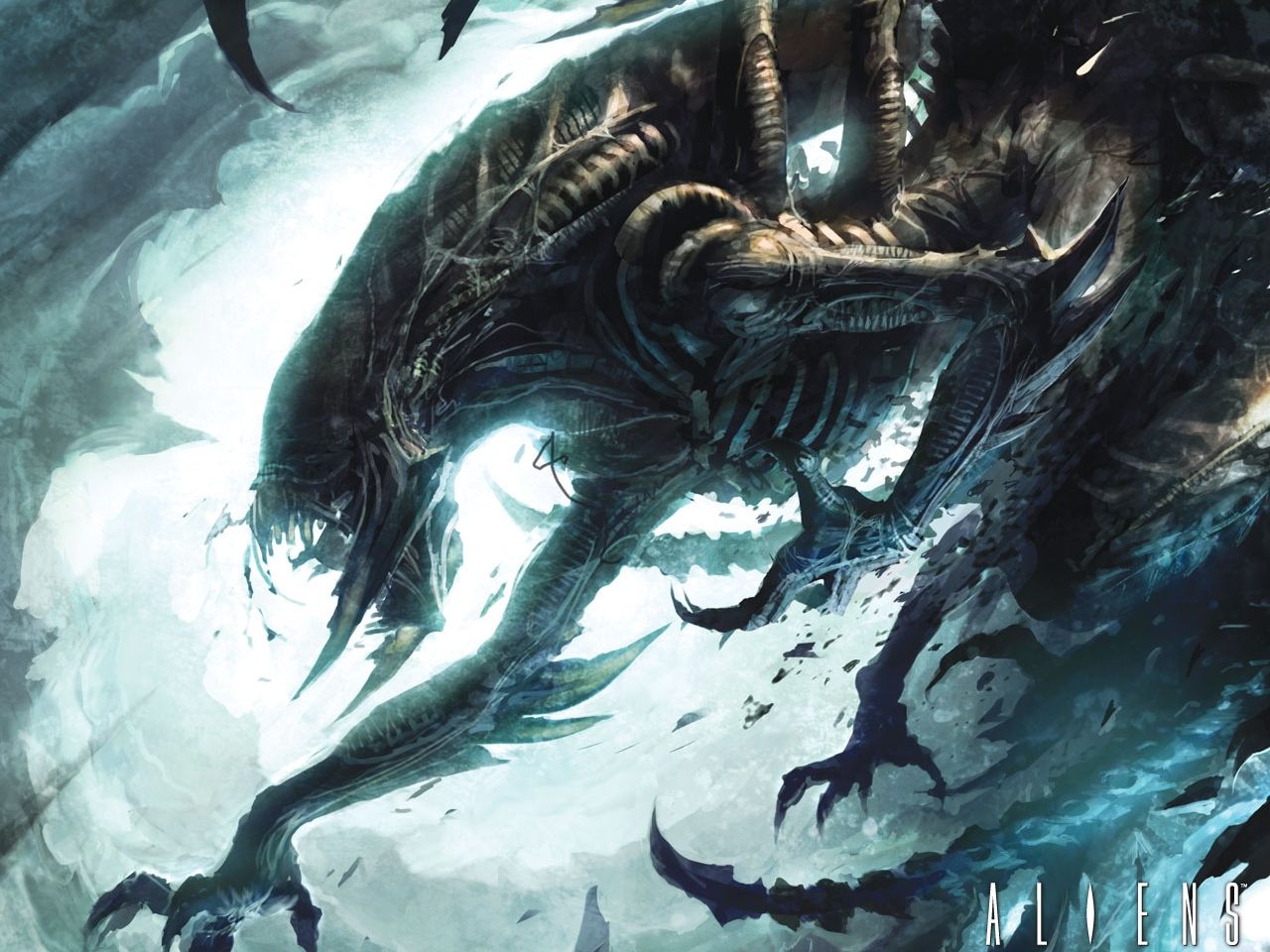 Alien Xenomorph creatura oscura, 1280x960 HD, Desktop