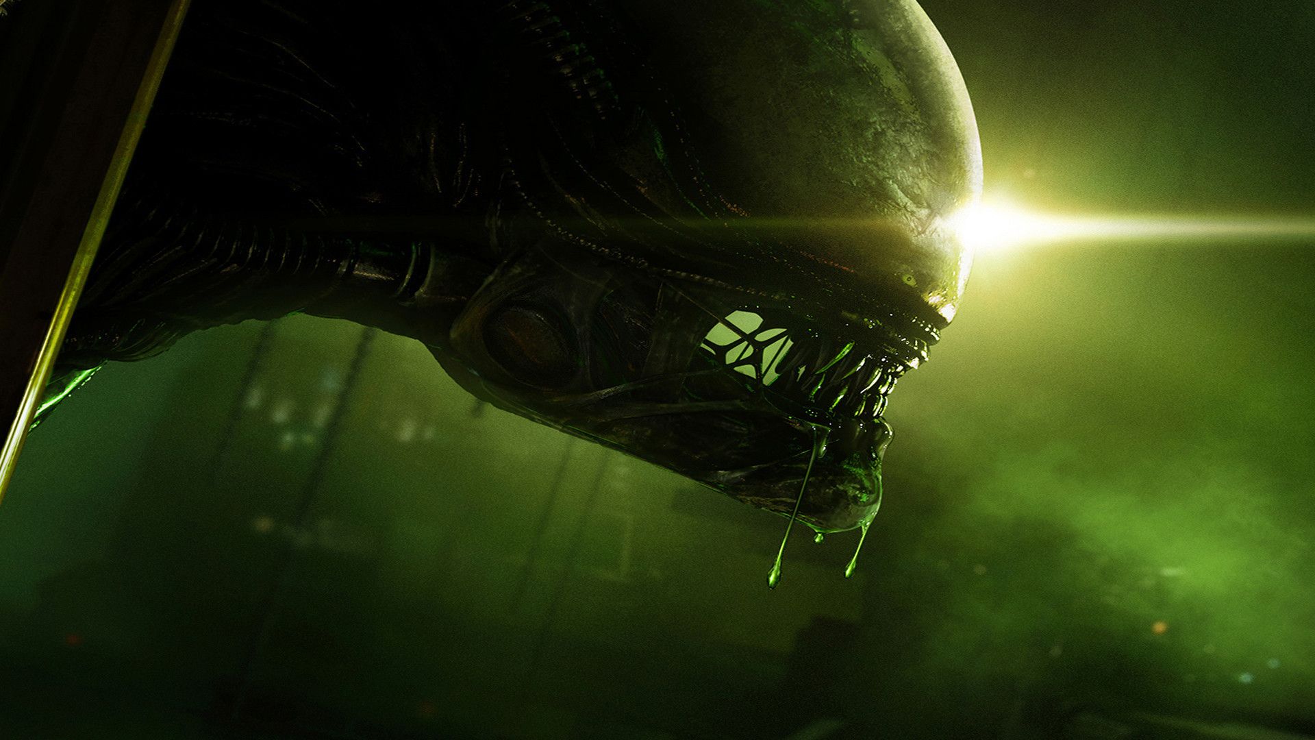 Alieno Xenomorfo testa scura, 1920x1080 Full HD, Desktop