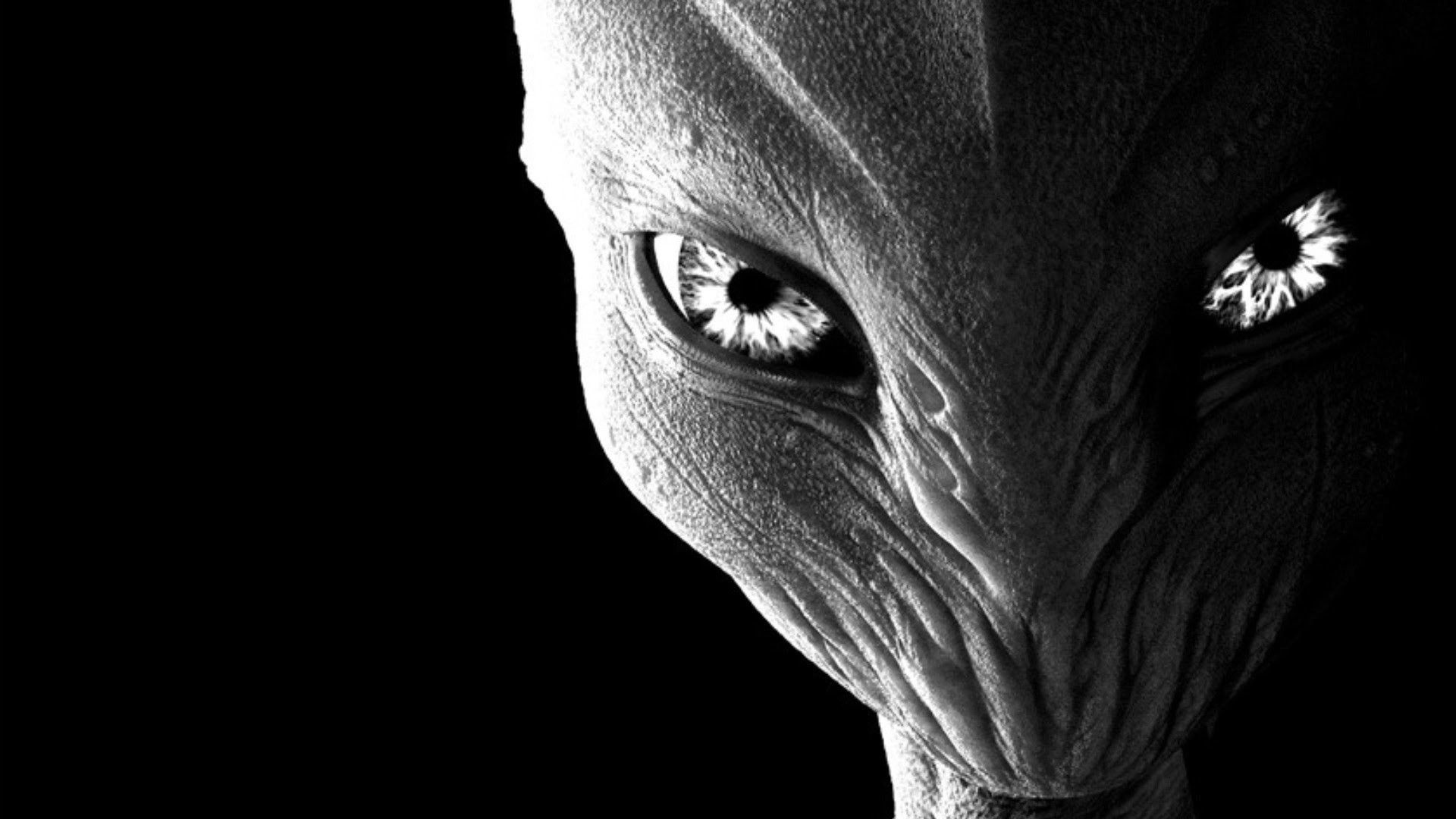 Volto alieno bianco e nero, 1920x1080 Full HD 1080p, Desktop