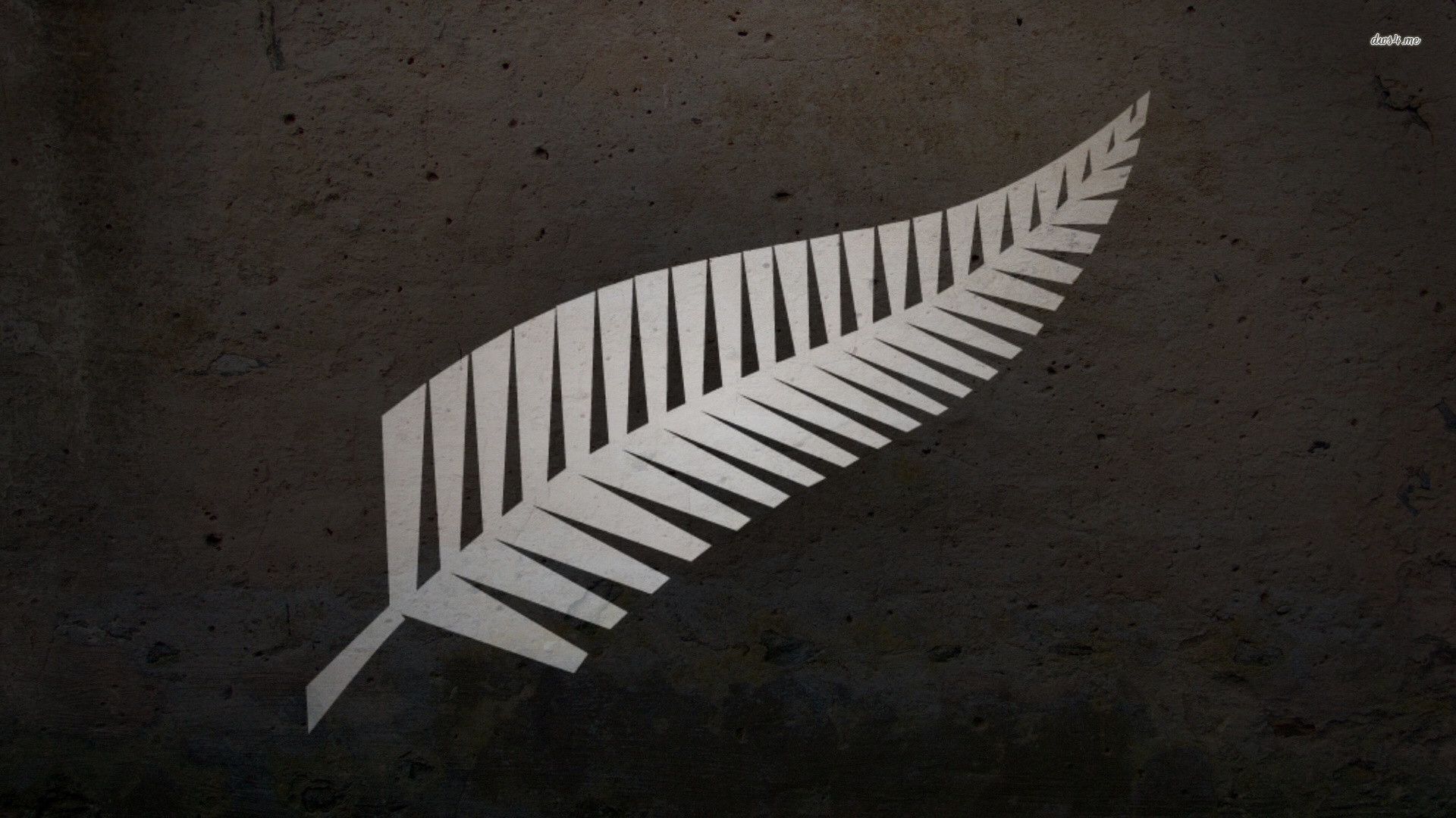 Logo felce argento All Blacks, 1920x1080 Full HD 1080p, Desktop