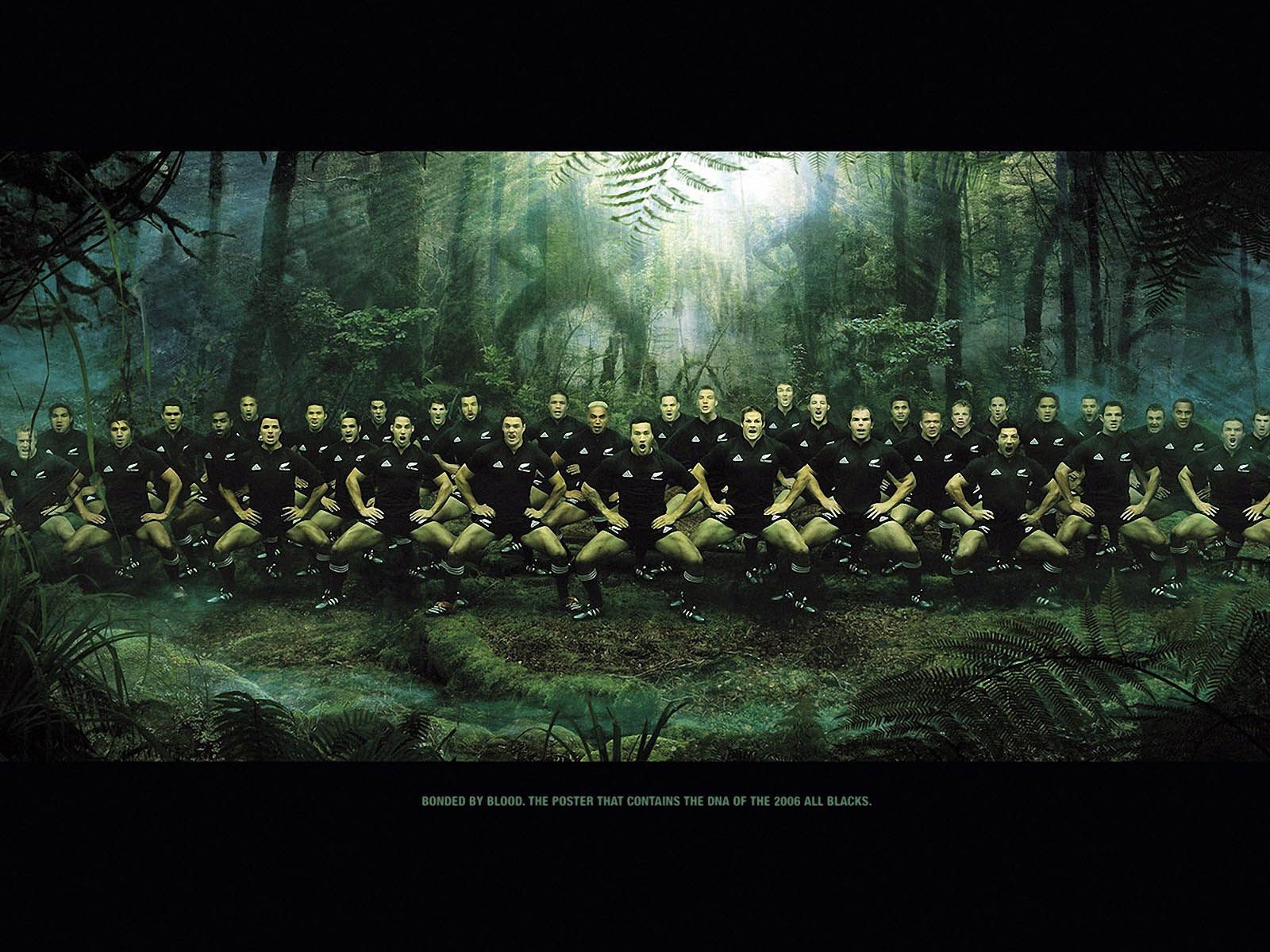 Squadra All Blacks nella foresta, 1600x1200 900p, PC